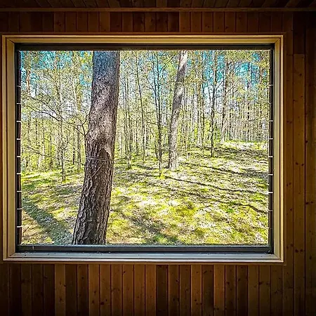 Kaszuby Tree House